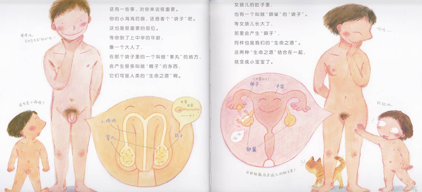 现代性教育深度与广度的探索，最新性启蒙章节解析